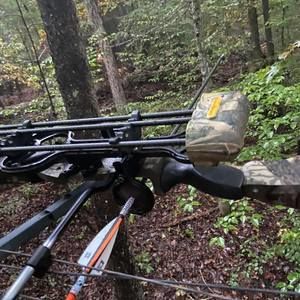 Meet your Posher, Colby